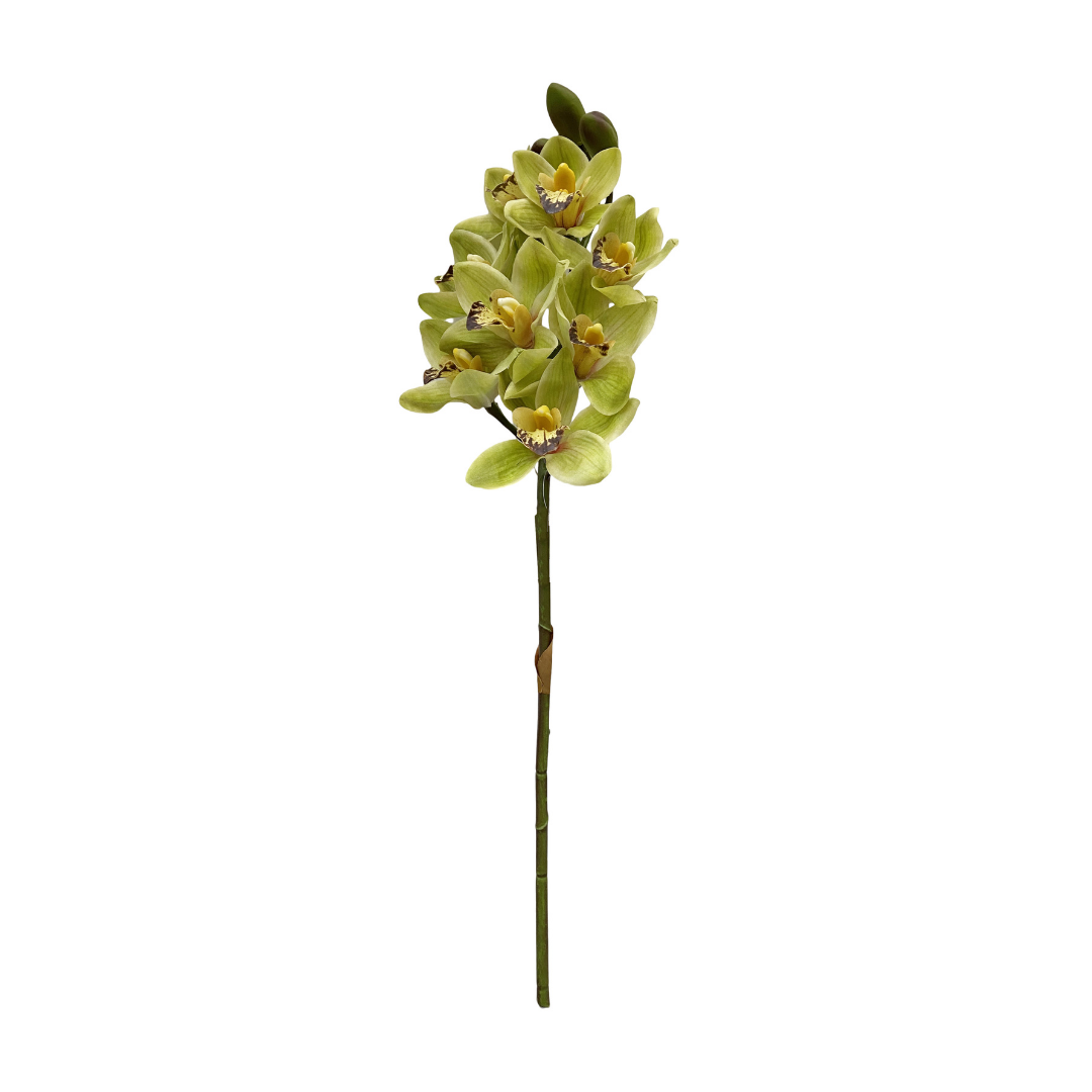 Künstliche Cymbidium-Orchidee, Real Touch